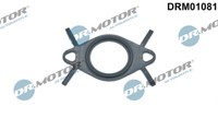 Dr. Motor Automobil DRM01081 Dichtung, Egr-Ventilrohr FüR Opel, Vauxhall