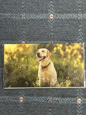 2 Year Pocket Calendar, 2026/2027, Dog Sitting In Grass , BRAND NEW 