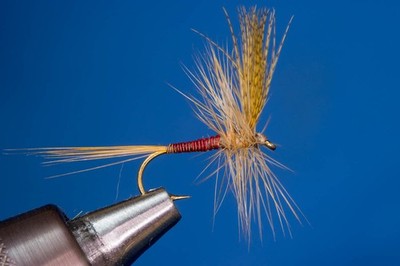 Fliegentom Trockenfliegen 3 Stück - Red Quill