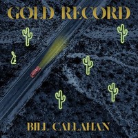 Gold Record - Vinyl Record - G1398Z