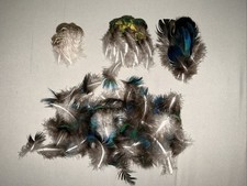 160 PCS Real Natural Peacock Eye Feathers 1-1...