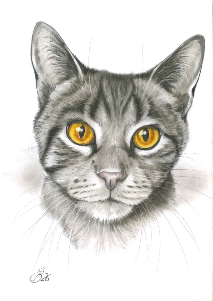Tabby Cat Tiger Katze Kohle Gemälde Charcoal Artist Drawing Bild Art #74 - Bild 1 von 1