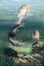 Ceramic Backsplash Tile Mural Fishing - Competition Among Friends