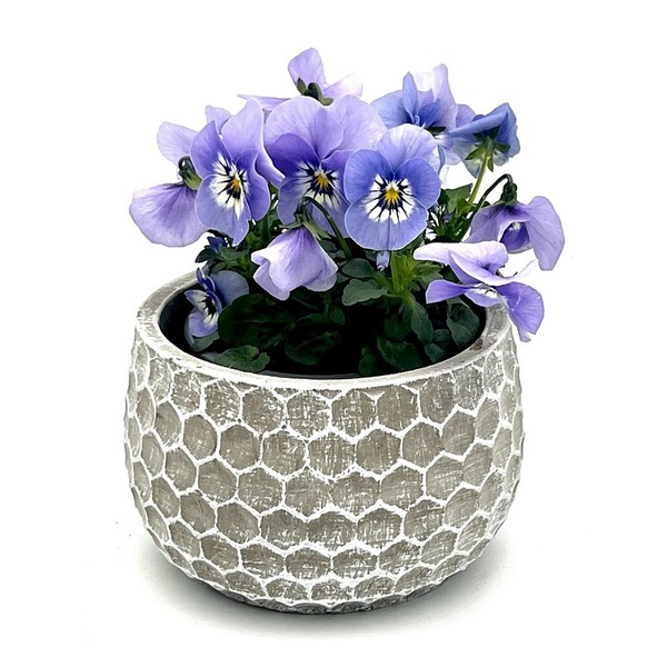 Blumentopf HäNgetopf Pflanztopf Pflanzschale Rund Beton Topf KüBel Ø 13 Cm 15-2-image