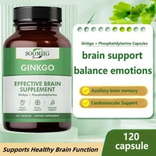 Ginkgo Brain Supplement - Supports Brain Health, Memory And Cognition Function