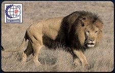 ZAMBIE - carte magnétique - lion