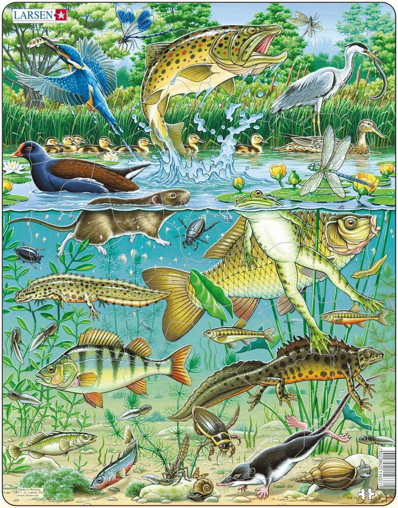 Larsen Puzzle Heimische Tiere im Gewässer 50 tlg.