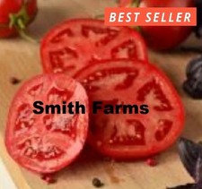 50 Seeds Better Bush Tomato Large Juicy Easy to Grow Vegetable Garden Planting