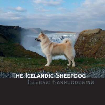 The Icelandic Sheepdog Islenski Fjarhurdurinn James L. Hansen Taschenbuch 2005