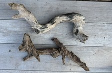 Natural Wood Driftwood for Plants Terrarium, Aquarium, Decor, Art Projects