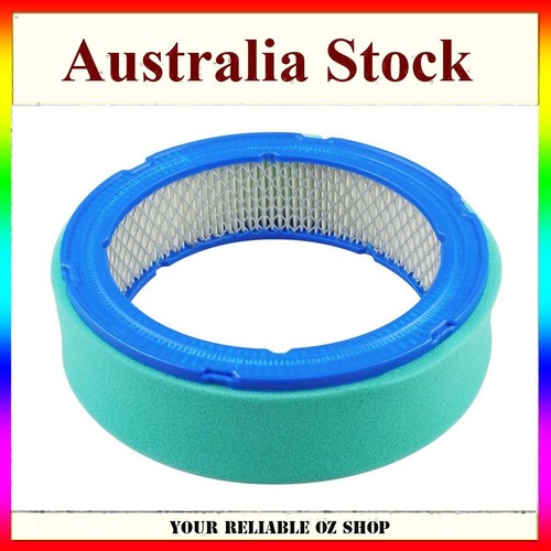 Air & Pre Filter for Briggs & Stratton 392642 394018 394018S Vanguard ...
