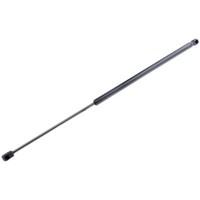 NTY Gasfeder Heckklappe Passend FüR BMW X3 F25 Xdrive20D Xdrive30D Alpina XD3