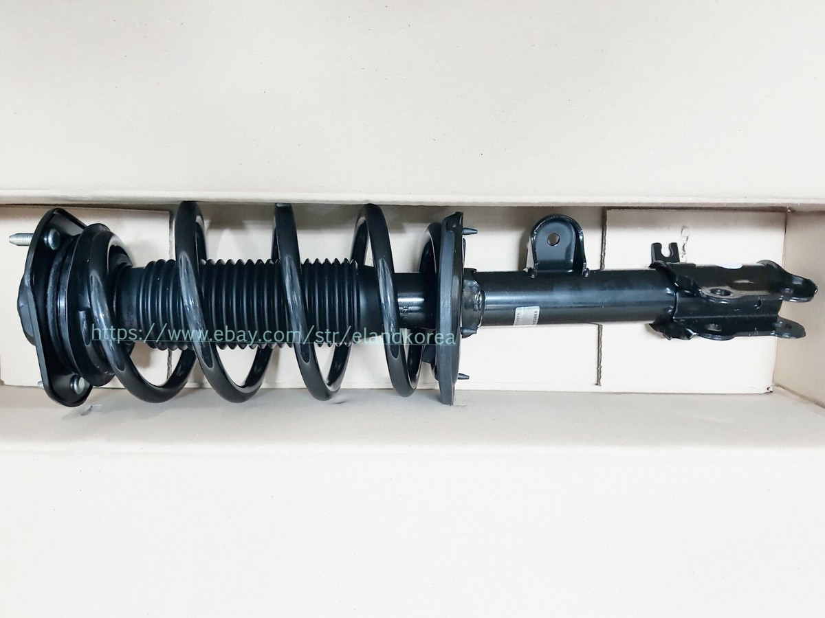 標本 Tibet Cheirotonusmacleayi 59mm Frrom Vietnam CCB 122mmX44mm