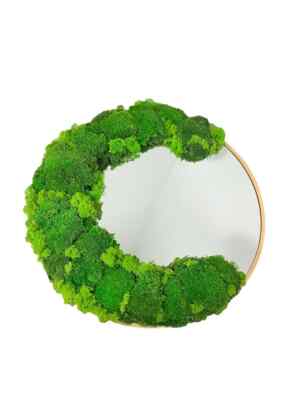 Mooswand Moospanel Moosbild ,,Limen Verde''