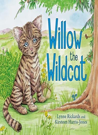 Willow the Wildcat (Picture Kelpies),Lynne Rickards,Kirsteen Har