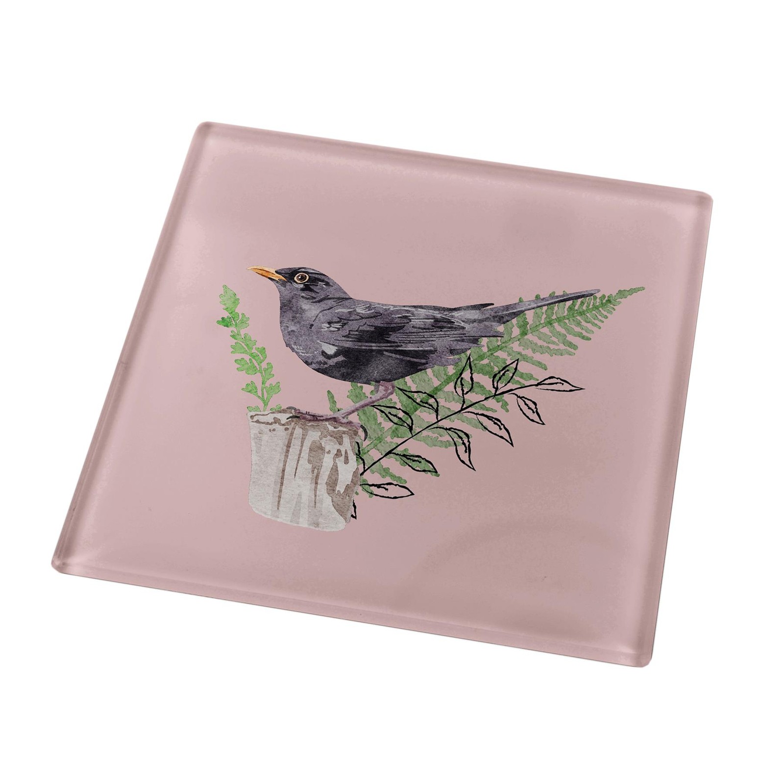 Blackbird Bird In Garden on Pink Square Glass Smooth Coaster
