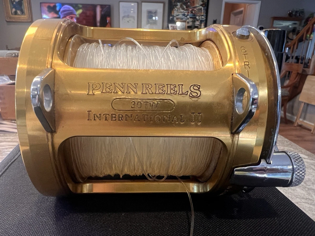 Penn International 30tw for sale | eBay