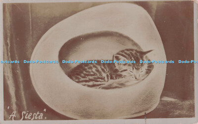 R695405 Kat. Eine Siesta. Postkarte. 1910