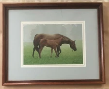 John Weiss Cuddle Time Limited Edition Numbered 471 of 850 Print Framed Signed