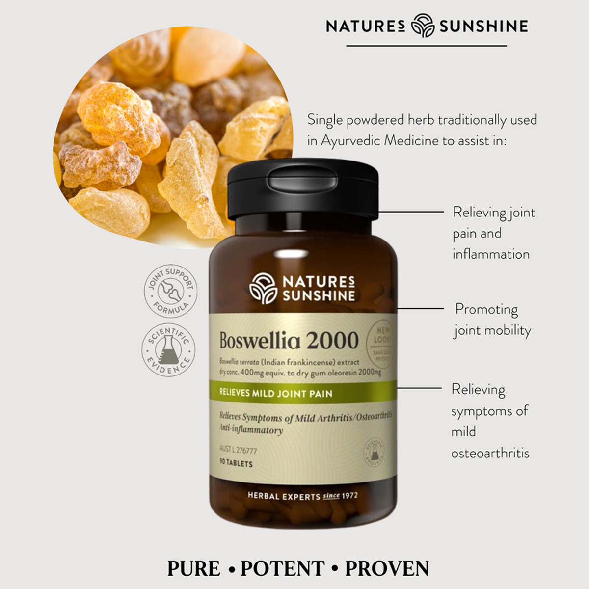 Nature's Sunshine Boswellia 2000 90 Tablets Natures Joint Pain Relief