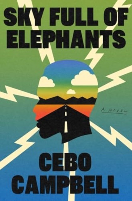 Sky Full of Elephants by Cebo Campbell HARDBACK - Image 2