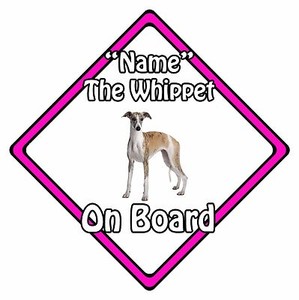 whippet ebay