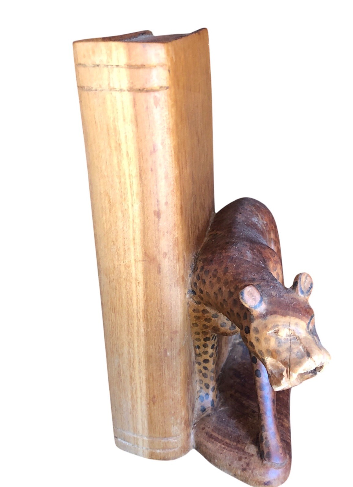 Picture 3 of 14