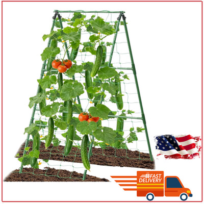 Space-Saving Cucumber Trellis for Peas & Vines, Strong Support for Small Plants