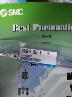 1PC New SMC CDJ2B10-100Z-B Cylinder  *pz