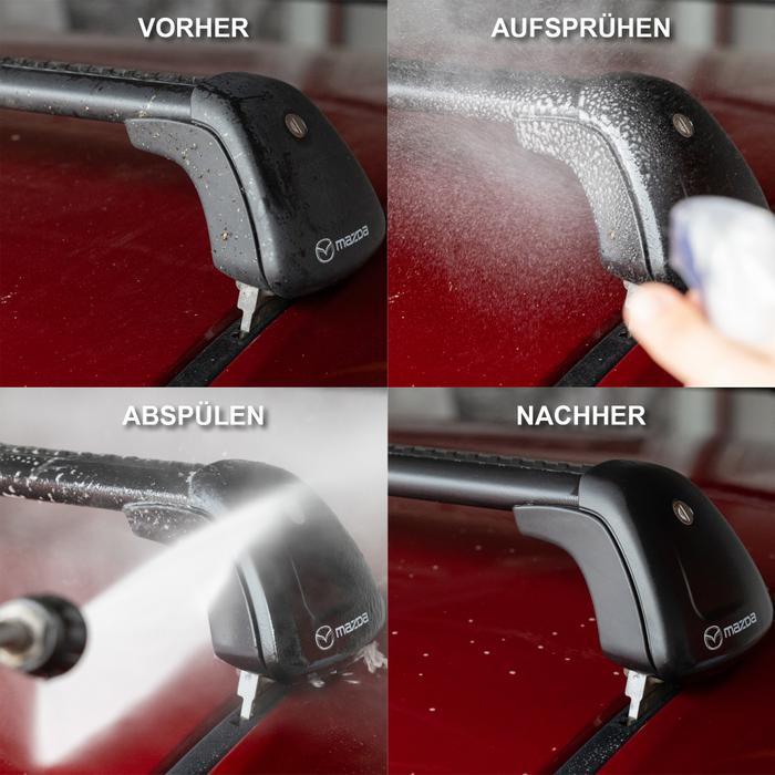 Bild 10 von 12