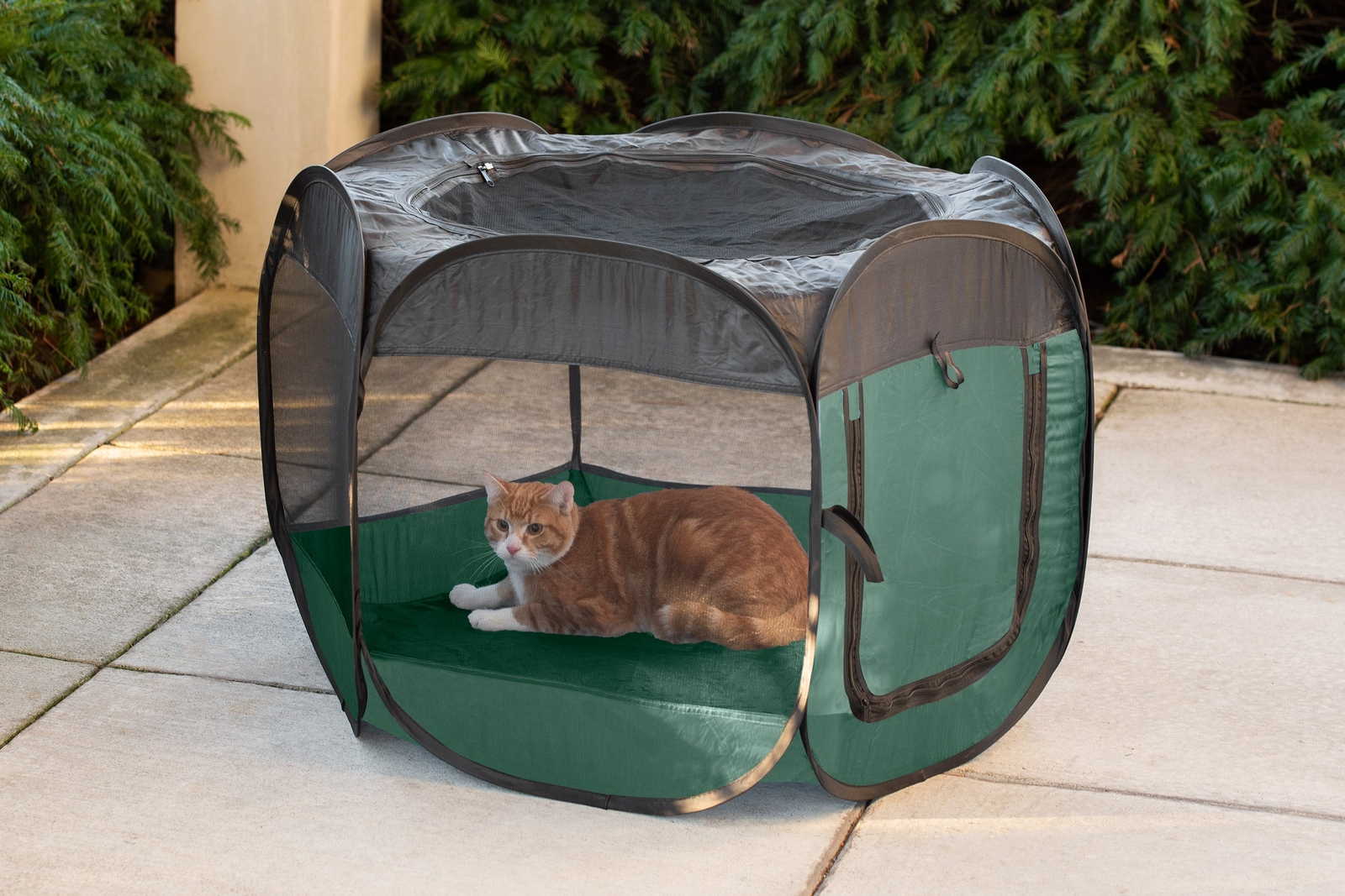 mesh pet pen