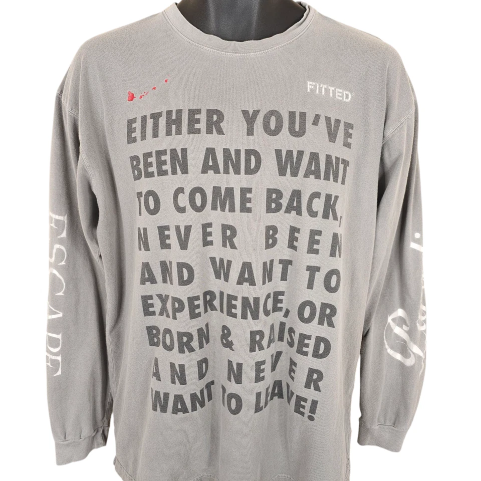 Vintage Hawaii Paradise T Shirt Mens Size Large Gray Y2K Travel Made In USA - Image 2 of 4