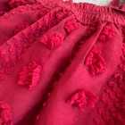 Entro Dark Red Floral Appliqué Pinafore Suspender Skirt Dress NWT SMALL — photo 4