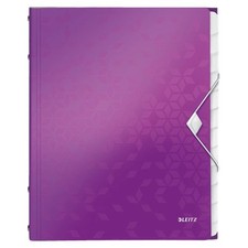 Image of Leitz WOW Divider Book 46340062