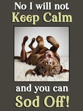 Labrador Chocolate Brown Lab Pet Dog Funny  Fridge Magnet  Gift