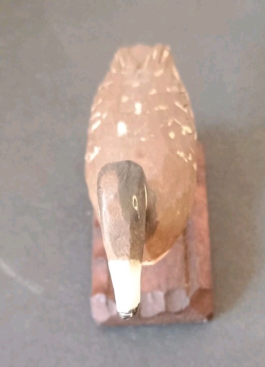 Picture 3 of 10