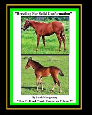 BREEDING FOR SOLID CONFORMATION (HOW TO BREED CLASSIC By Sarah A Montgomery NEW