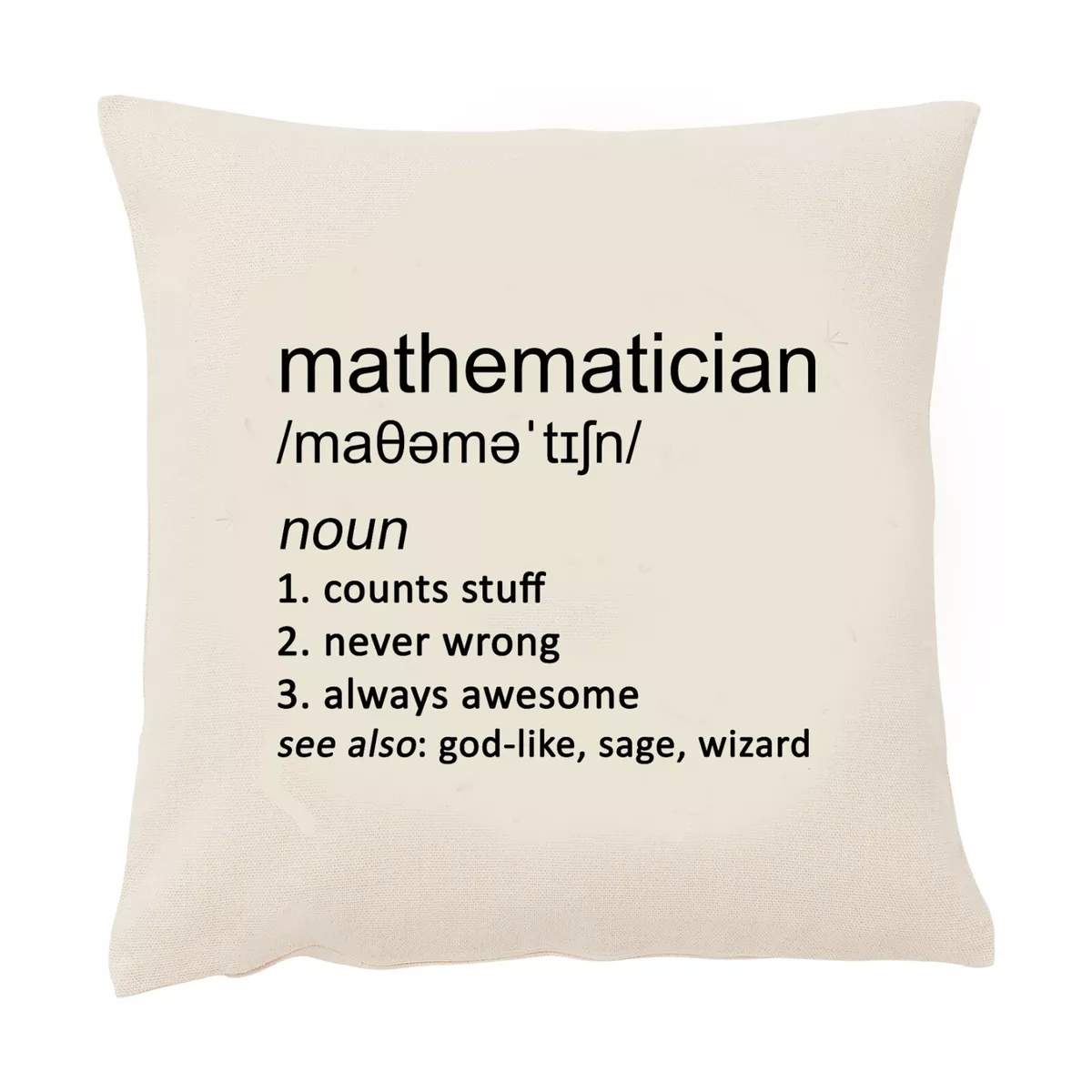 Mathematician Cushion Cover Funny Square Maths Teacher Gift Job ...