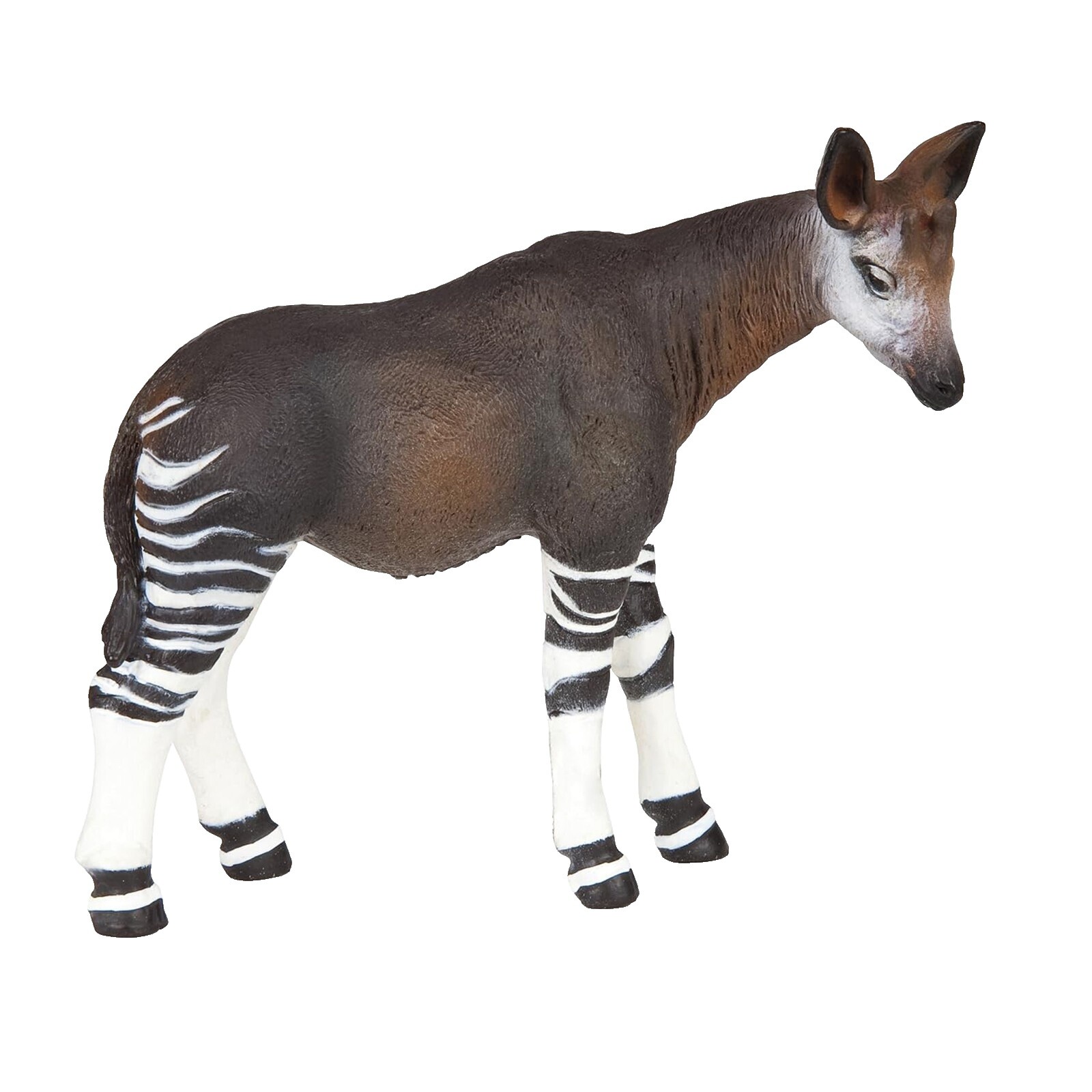 ⭐︎オカピ⭐︎ Okapi Animal | eBay