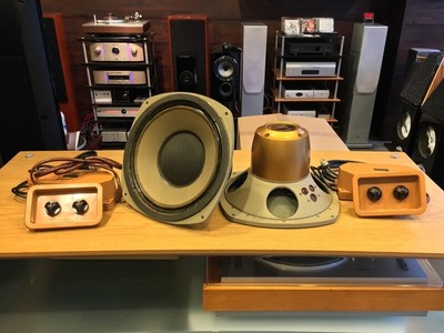tannoy monitor gold 10