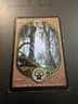 Swamp - Unglued - Magic The Gathering HP English MTG