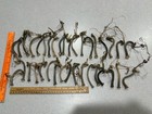 36 Tall Thin Dried Gourd Pumpkin Stems 3” To 5” Tall For Crafts Velvet