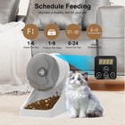 NPET 3L Automatic Cat Feeder for Cats and Small Dogs, Dry Food Dispenser Timed — photo 2