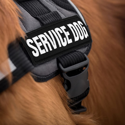 2er-Set Service Dog Patches – Abnehmbare Klett-Aufnäher Für Hundegeschirr & Westen