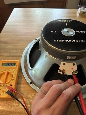 Madison 12 Inch Symphony series 8 Ohm Speaker | eBay