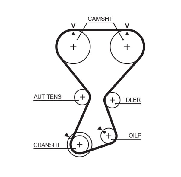 GATES-OE T313 Timing Belt for HYUNDAI,KIA