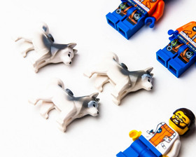 LEGO Arctic Minifigure Lot - Polar Bear Husky Dogs - Base Camp - 60036 (brr