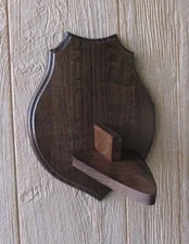 Dark Oak Boar European Skull Mount Wall Pedestal Plaque