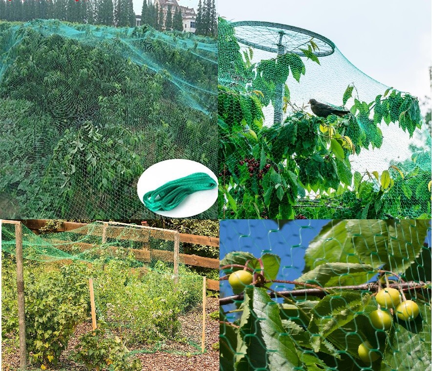 Garden Netting Plant Protection Mesh Crop Netting Pond Veg Fruit Anti