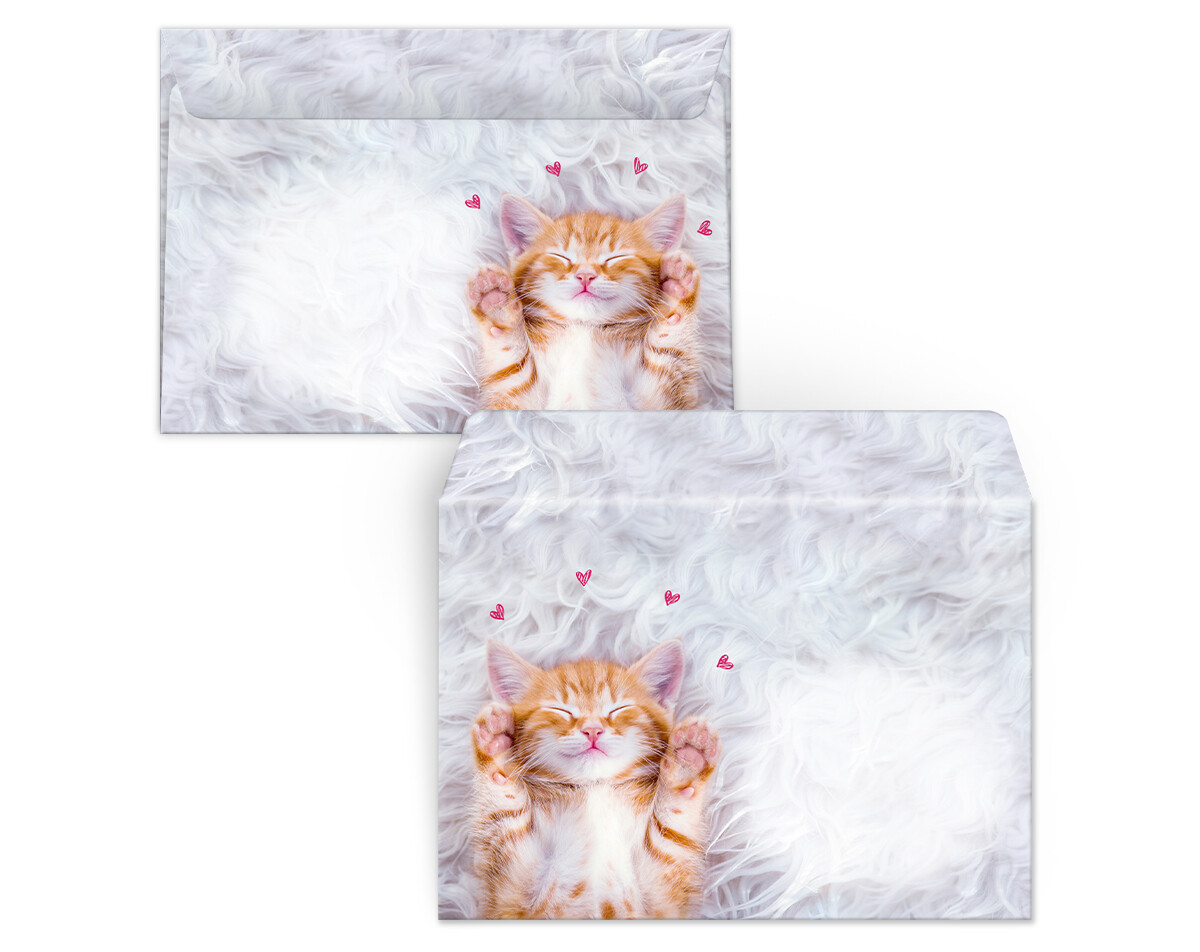 Junapack 12 Einladungskarten Zum Kindergeburtstag Mädchen Jungen Katzen